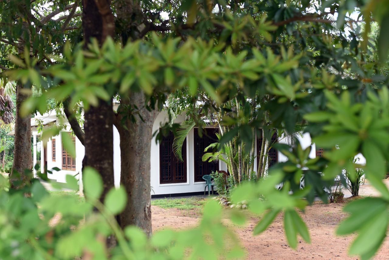 Sun And Green Eco Lodge - Дамбулла Экстерьер фото