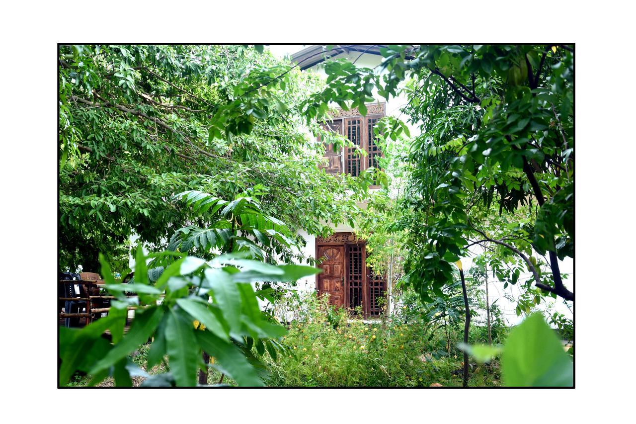 Sun And Green Eco Lodge - Дамбулла Экстерьер фото