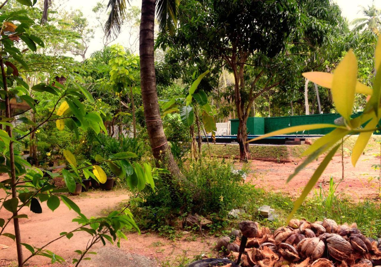 Sun And Green Eco Lodge - Дамбулла Экстерьер фото