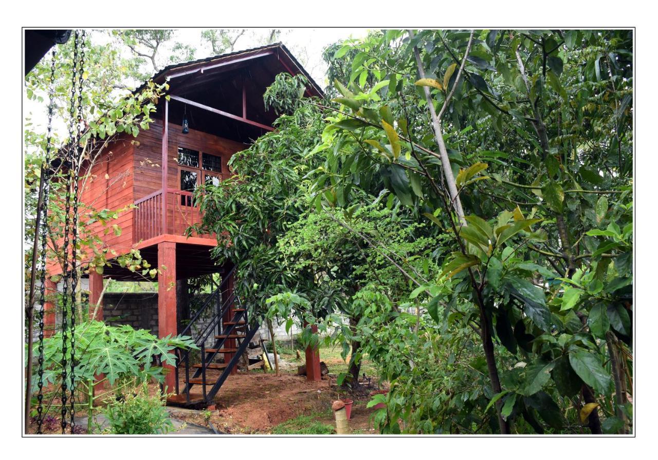 Sun And Green Eco Lodge - Дамбулла Экстерьер фото
