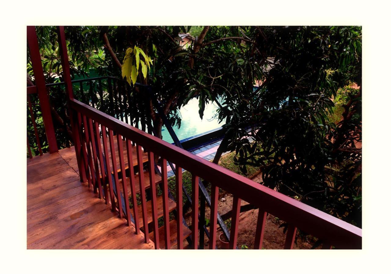 Sun And Green Eco Lodge - Дамбулла Экстерьер фото
