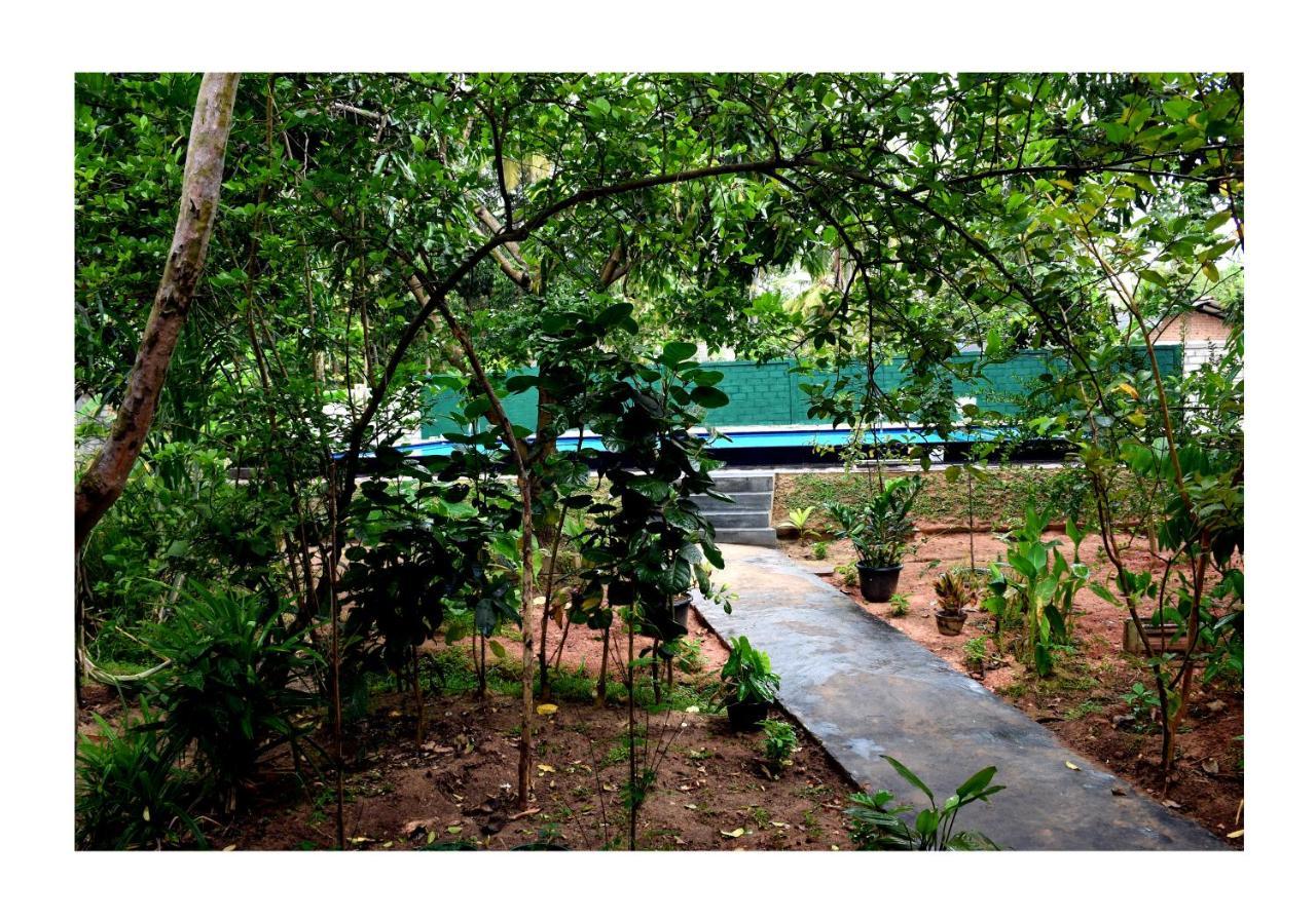 Sun And Green Eco Lodge - Дамбулла Экстерьер фото
