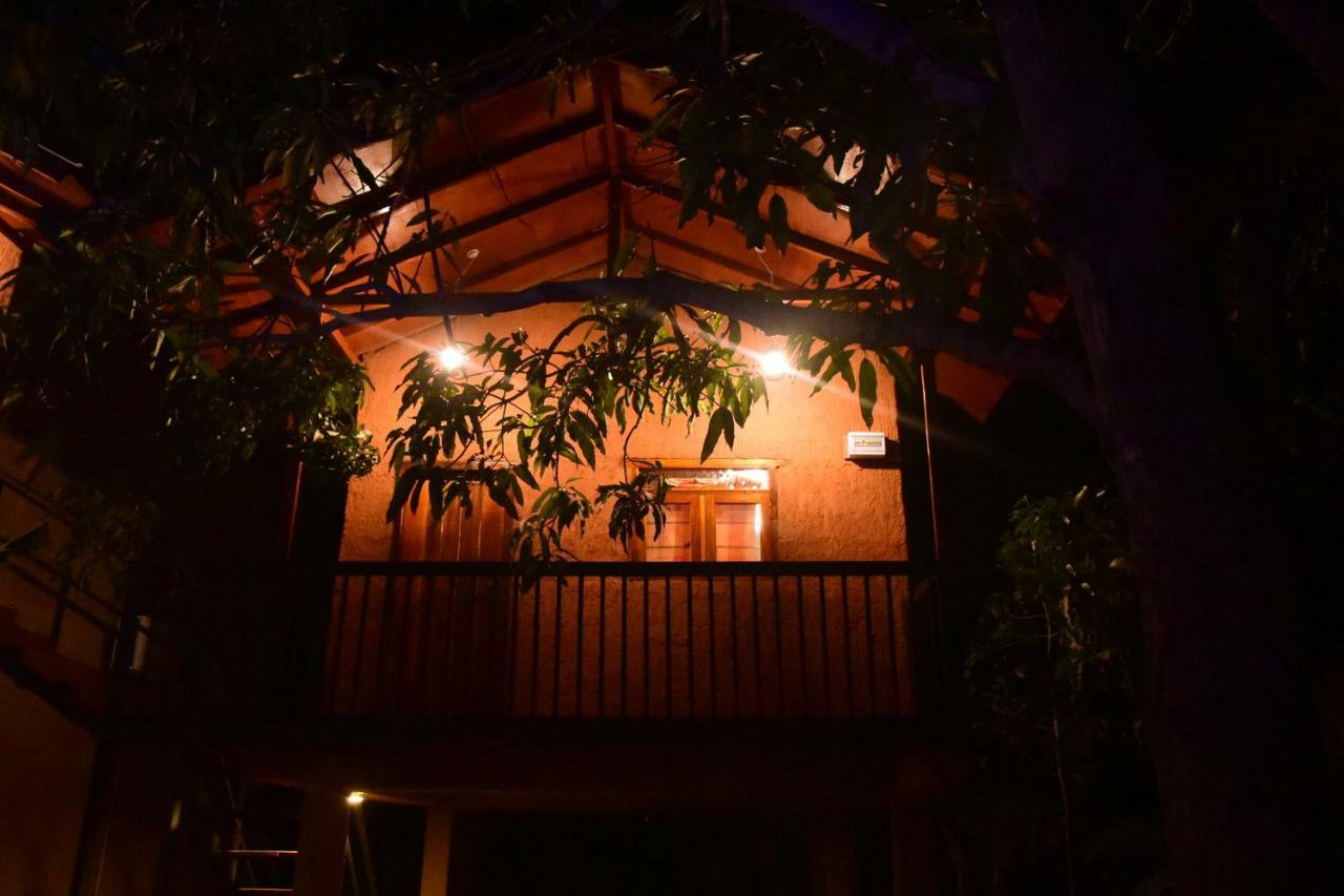 Sun And Green Eco Lodge - Дамбулла Экстерьер фото