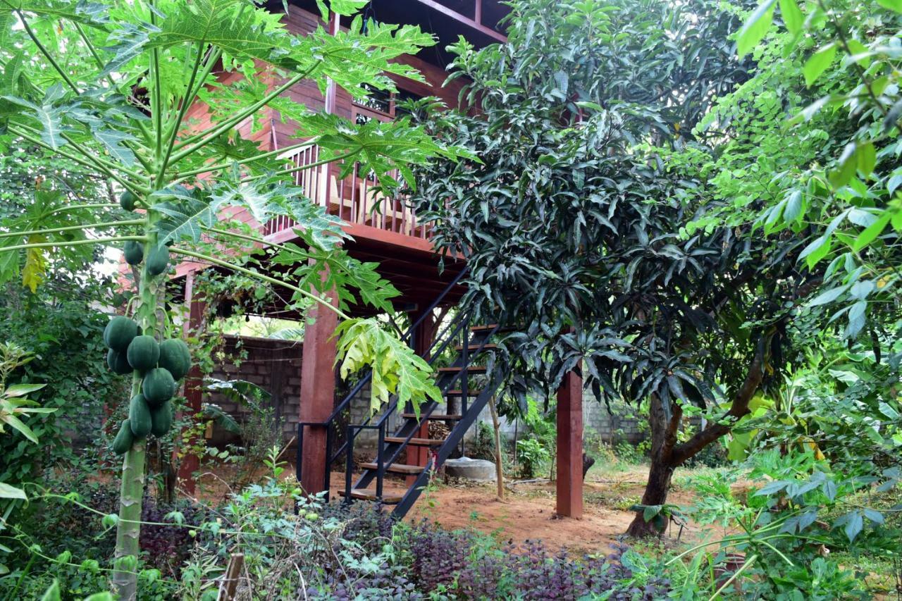 Sun And Green Eco Lodge - Дамбулла Экстерьер фото