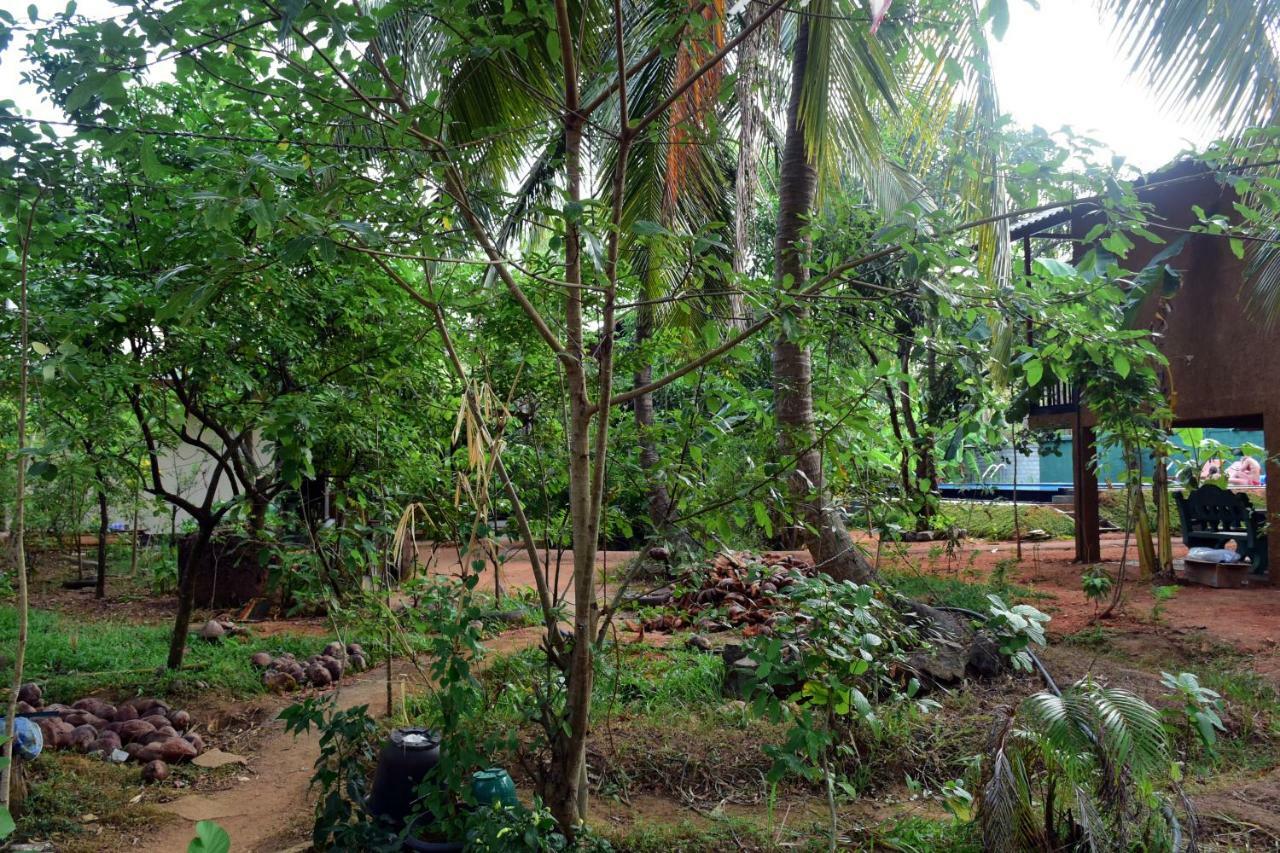 Sun And Green Eco Lodge - Дамбулла Экстерьер фото