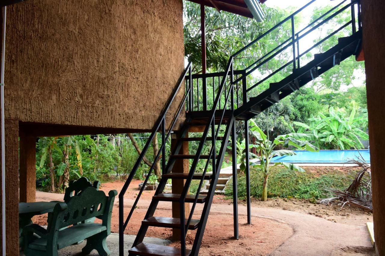 Sun And Green Eco Lodge - Дамбулла Экстерьер фото